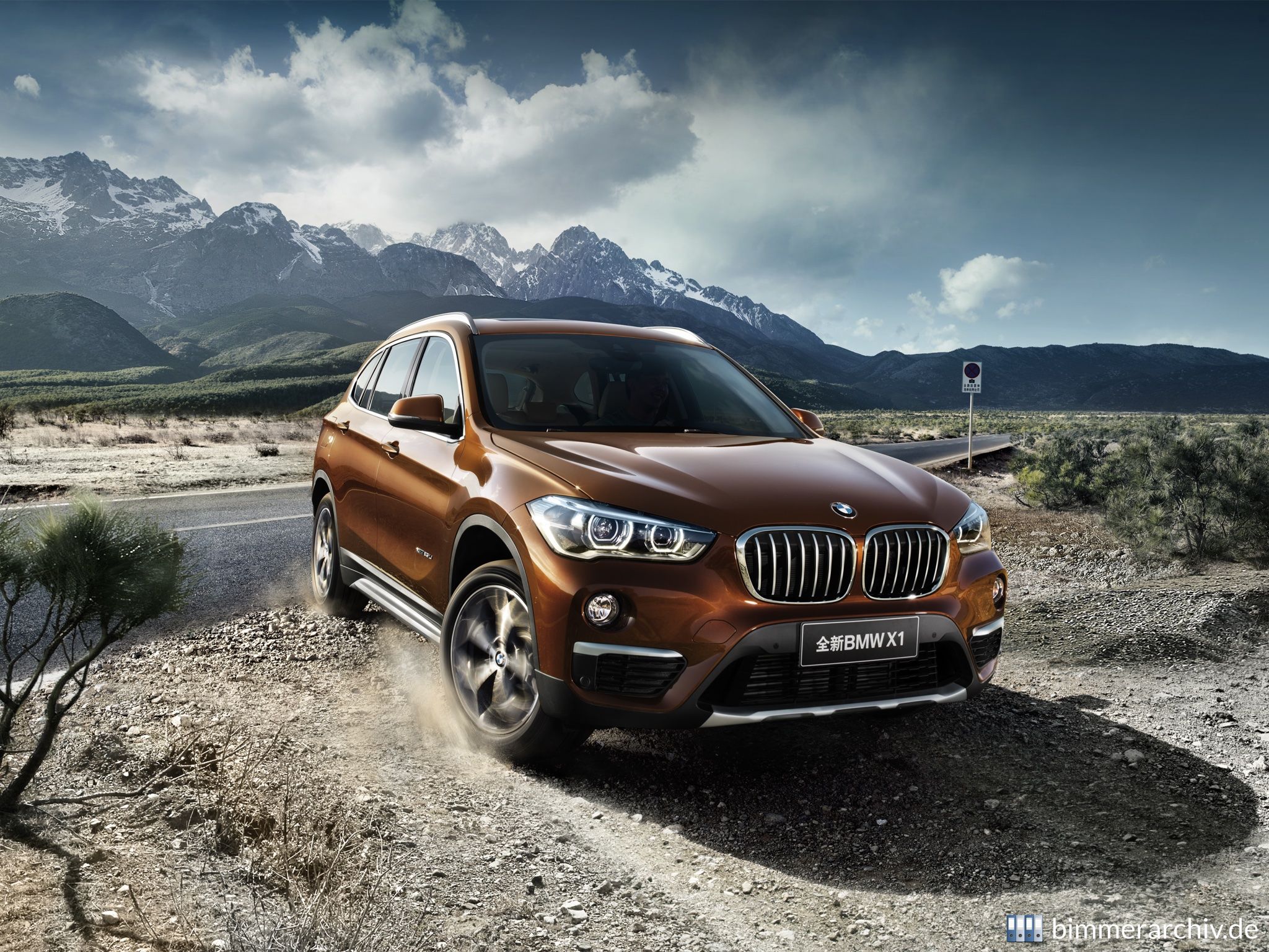 BMW X1 xDrive25Li